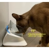 Non-Slip Double Cat Bowl Dog Bowl With Stand Pet Feeding Cat Water Bowl For Cats Food Pet Bowls For Dogs Feeder Product Supplies