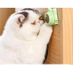Catnip Balls Funny Lickable Cat Snack Catnip Balls Kitten Playing Chewing Cleaning Teeth Toy For Small Medium Cats pet supplies
